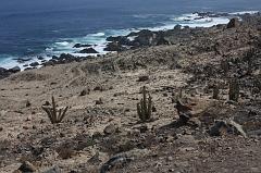 1052-per Nazca (panamericana),17 luglio 2013